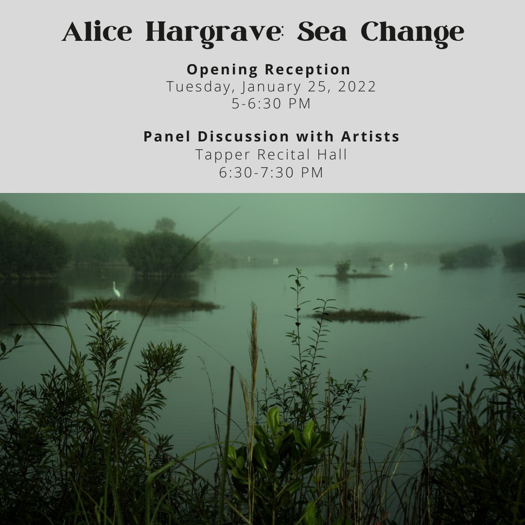 Alice Hargrave: Sea Changes